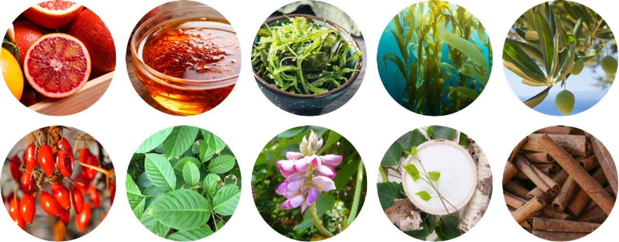 Phytomem One ingredients
